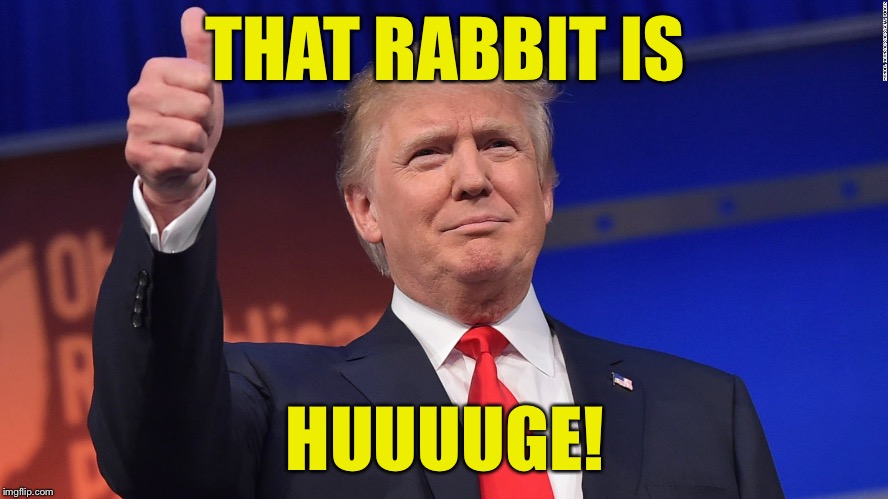 Trump Thumbs Up | THAT RABBIT IS HUUUUGE! | image tagged in trump thumbs up | made w/ Imgflip meme maker