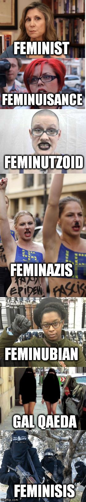 Feminist ID Guidebook | FEMINIST; FEMINUISANCE; FEMINUTZOID; FEMINAZIS; FEMINUBIAN; GAL QAEDA; FEMINISIS | image tagged in feminist id guidebook,memes,i need feminism because,feminazi,hillary clinton 2016,cultural marxism | made w/ Imgflip meme maker