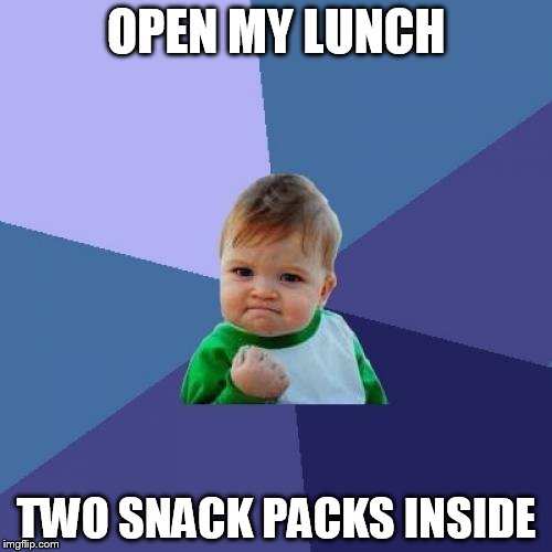 Way to go, MOM!!! | OPEN MY LUNCH; TWO SNACK PACKS INSIDE | image tagged in memes,success kid | made w/ Imgflip meme maker