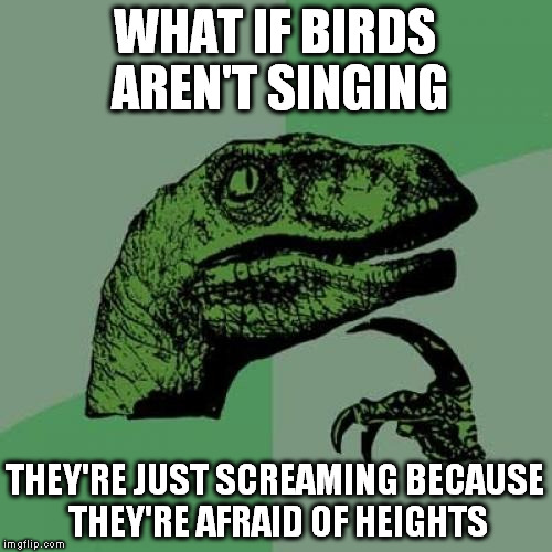 Philosoraptor Meme | WHAT IF BIRDS AREN'T SINGING; THEY'RE JUST SCREAMING BECAUSE THEY'RE AFRAID OF HEIGHTS | image tagged in memes,philosoraptor | made w/ Imgflip meme maker