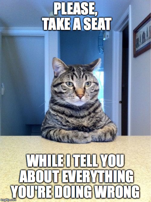 Take A Seat Cat | PLEASE, TAKE A SEAT; WHILE I TELL YOU ABOUT EVERYTHING YOU'RE DOING WRONG | image tagged in memes,take a seat cat | made w/ Imgflip meme maker