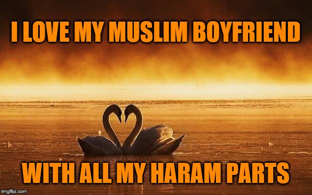 Muslim Boyfriend | I LOVE MY MUSLIM BOYFRIEND; WITH ALL MY HARAM PARTS | image tagged in love,heart,muslim,haram,unclean,relationship | made w/ Imgflip meme maker