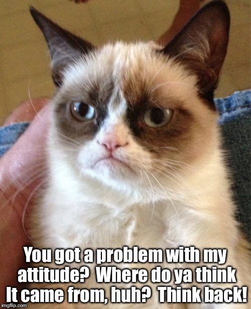 Negative creates Negative | You got a problem with my attitude?  Where do ya think It came from, huh?  Think back! | image tagged in memes,grumpy cat | made w/ Imgflip meme maker