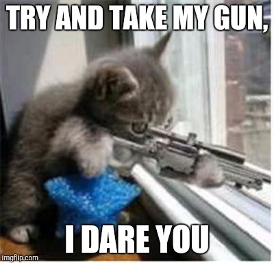 cats with guns | TRY AND TAKE MY GUN, I DARE YOU | image tagged in cats with guns | made w/ Imgflip meme maker