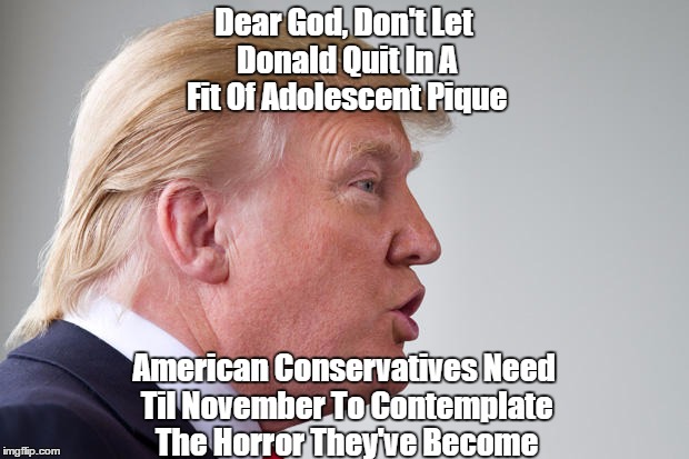 Dear God, Don't Let Donald Quit In A Fit Of Adolescent Pique American Conservatives Need Til November To Contemplate The Horror They've Beco | made w/ Imgflip meme maker
