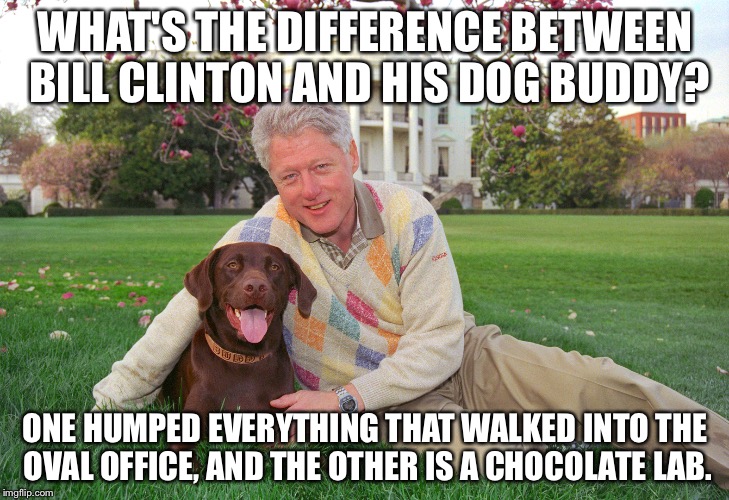 Bill Clinton and Buddy | WHAT'S THE DIFFERENCE BETWEEN BILL CLINTON AND HIS DOG BUDDY? ONE HUMPED EVERYTHING THAT WALKED INTO THE OVAL OFFICE, AND THE OTHER IS A CHOCOLATE LAB. | image tagged in bill clinton | made w/ Imgflip meme maker