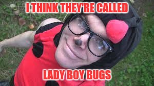 I THINK THEY'RE CALLED LADY BOY BUGS | made w/ Imgflip meme maker