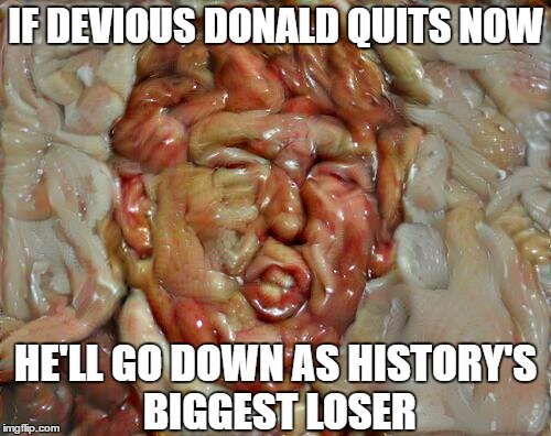 IF DEVIOUS DONALD QUITS NOW HE'LL GO DOWN AS HISTORY'S BIGGEST LOSER | made w/ Imgflip meme maker