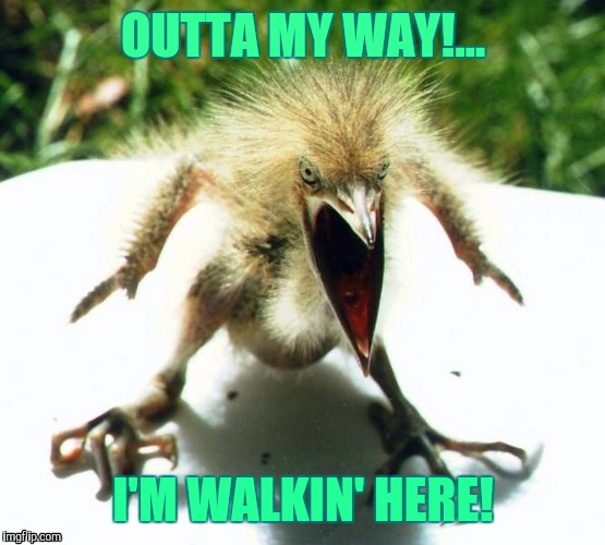 OUTTA MY WAY!... I'M WALKIN' HERE! | made w/ Imgflip meme maker
