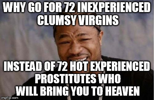 This I do not get | WHY GO FOR 72 INEXPERIENCED CLUMSY VIRGINS; INSTEAD OF 72 HOT EXPERIENCED PROSTITUTES WHO WILL BRING YOU TO HEAVEN | image tagged in memes,yo dawg heard you | made w/ Imgflip meme maker