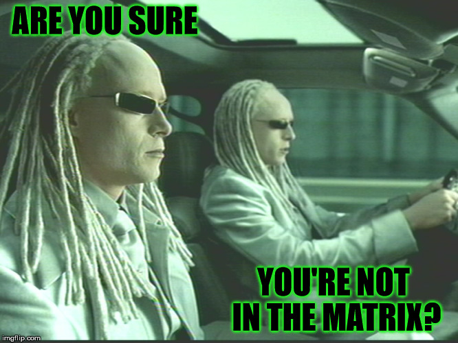 ARE YOU SURE YOU'RE NOT IN THE MATRIX? | image tagged in matrix twins | made w/ Imgflip meme maker