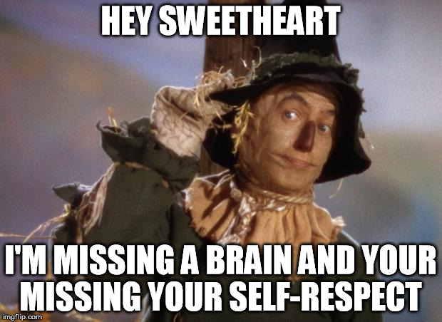Scarecrow | HEY SWEETHEART; I'M MISSING A BRAIN AND YOUR MISSING YOUR SELF-RESPECT | image tagged in scarecrow,memes,jokes,wizard of oz,movies,funny memes | made w/ Imgflip meme maker