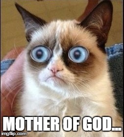 Grumpy Cat Shocked | MOTHER OF GOD... | image tagged in grumpy cat shocked | made w/ Imgflip meme maker