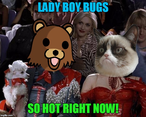 Mugatu So Hot Right Now Meme | LADY BOY BUGS SO HOT RIGHT NOW! | image tagged in memes,mugatu so hot right now | made w/ Imgflip meme maker
