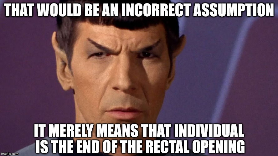 THAT WOULD BE AN INCORRECT ASSUMPTION IT MERELY MEANS THAT INDIVIDUAL IS THE END OF THE RECTAL OPENING | image tagged in spock | made w/ Imgflip meme maker