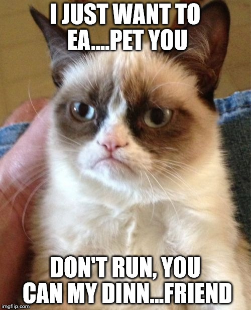 Grumpy Cat Meme | I JUST WANT TO EA....PET YOU DON'T RUN, YOU CAN MY DINN...FRIEND | image tagged in memes,grumpy cat | made w/ Imgflip meme maker