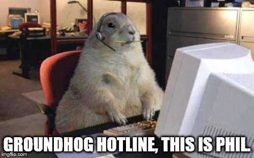 Working Groundhog | GROUNDHOG HOTLINE, THIS IS PHIL. | image tagged in working groundhog | made w/ Imgflip meme maker