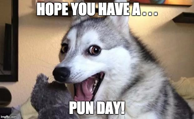 Pun dog - husky | HOPE YOU HAVE A . . . PUN DAY! | image tagged in pun dog - husky | made w/ Imgflip meme maker