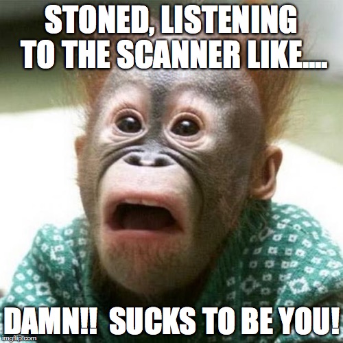 Shocked Monkey | STONED, LISTENING TO THE SCANNER LIKE.... DAMN!!  SUCKS TO BE YOU! | image tagged in stoned,high,marijuana,paranoid,police scanner | made w/ Imgflip meme maker