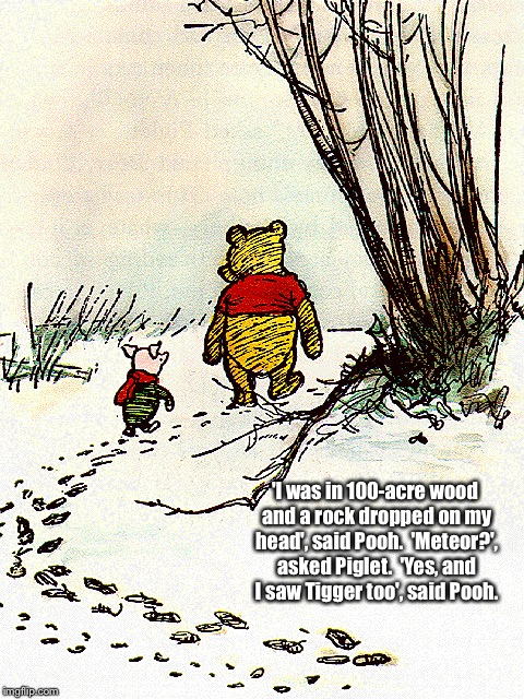 Winnie the Pooh | 'I was in 100-acre wood and a rock dropped on my head', said Pooh.

'Meteor?', asked Piglet.

'Yes, and I saw Tigger too', said Pooh. | image tagged in winnie the pooh and piglet | made w/ Imgflip meme maker