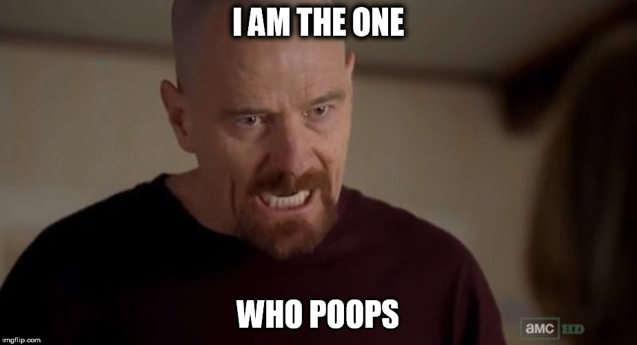 I am the one who knocks | I AM THE ONE; WHO POOPS | image tagged in i am the one who knocks,AdviceAnimals | made w/ Imgflip meme maker