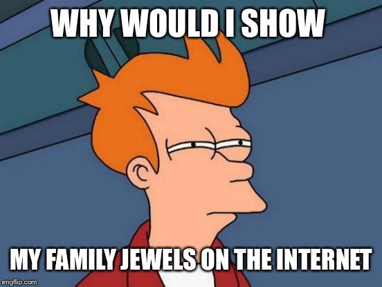 Futurama Fry Meme | WHY WOULD I SHOW MY FAMILY JEWELS ON THE INTERNET | image tagged in memes,futurama fry | made w/ Imgflip meme maker
