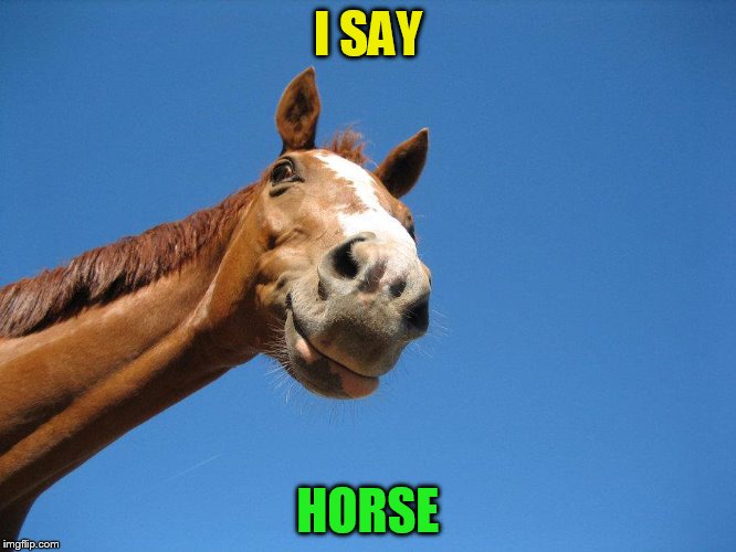 I SAY HORSE | made w/ Imgflip meme maker