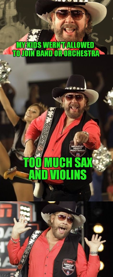 Bad Pun Hank Jr (My newest template creation please feel free to use it!!) | MY KIDS WERN'T ALLOWED TO JOIN BAND OR ORCHESTRA; TOO MUCH SAX AND VIOLINS | image tagged in bad pun hank jr,lynch1979,this one time at band camp | made w/ Imgflip meme maker