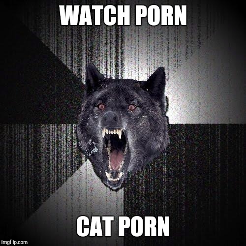 WATCH PORN CAT PORN | made w/ Imgflip meme maker