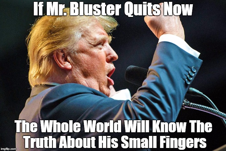 If Mr. Bluster Quits Now The Whole World Will Know The Truth About His Small Fingers | made w/ Imgflip meme maker