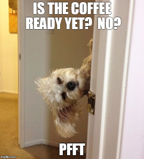 Dog | IS THE COFFEE READY YET? 
NO? PFFT | image tagged in coffee addict | made w/ Imgflip meme maker