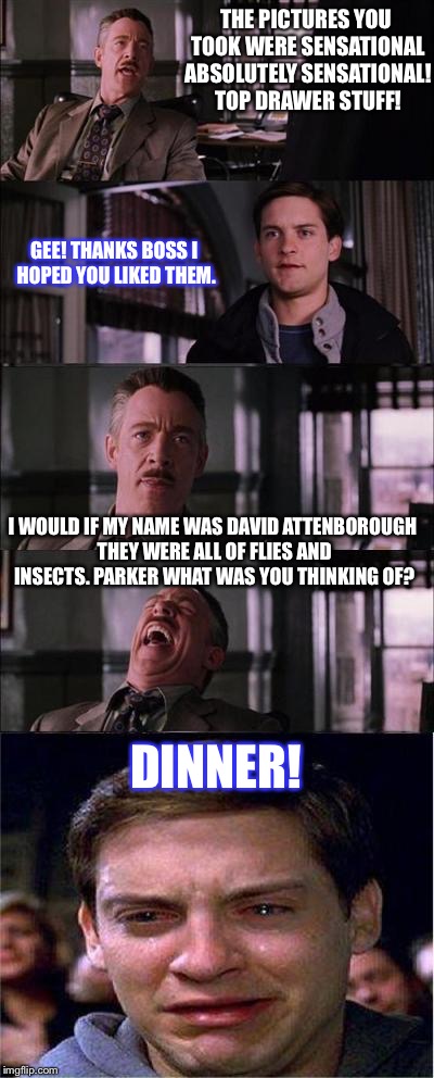 Peter Parker Cry | THE PICTURES YOU TOOK WERE SENSATIONAL ABSOLUTELY SENSATIONAL! TOP DRAWER STUFF! GEE! THANKS BOSS I HOPED YOU LIKED THEM. I WOULD IF MY NAME WAS DAVID ATTENBOROUGH THEY WERE ALL OF FLIES AND INSECTS. PARKER WHAT WAS YOU THINKING OF? DINNER! | image tagged in memes,peter parker cry | made w/ Imgflip meme maker