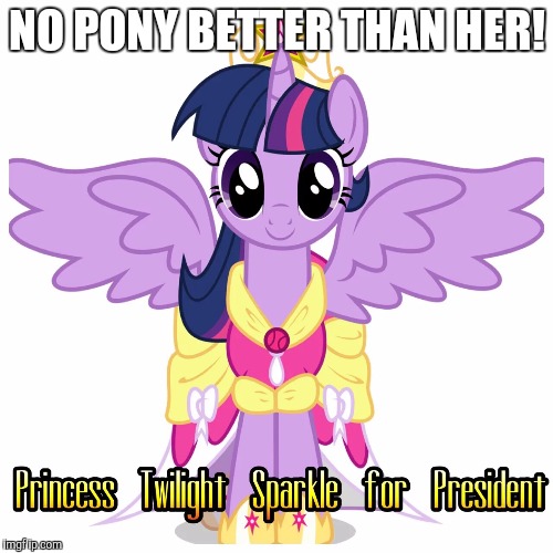 Twilight for president | NO PONY BETTER THAN HER! | image tagged in twilight for president | made w/ Imgflip meme maker