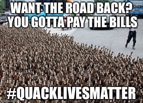 WANT THE ROAD BACK? YOU GOTTA PAY THE BILLS; #QUACKLIVESMATTER | image tagged in ducks,bad pun,memes,funny,black lives matter | made w/ Imgflip meme maker