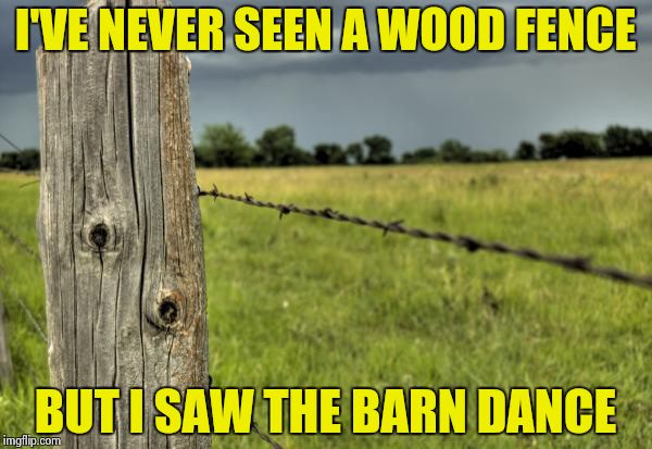 fence post | I'VE NEVER SEEN A WOOD FENCE; BUT I SAW THE BARN DANCE | image tagged in fence post | made w/ Imgflip meme maker
