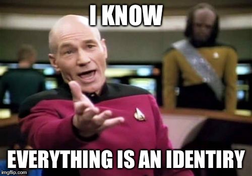 Picard Wtf Meme | I KNOW EVERYTHING IS AN IDENTIRY | image tagged in memes,picard wtf | made w/ Imgflip meme maker