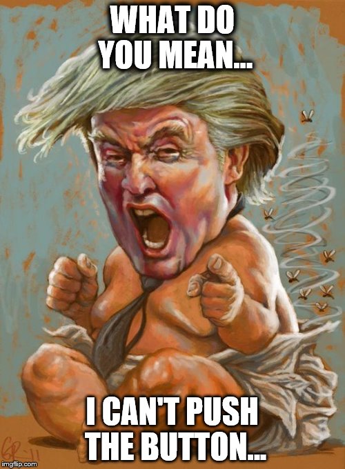 Trump Nuclear | WHAT DO YOU MEAN... I CAN'T PUSH THE BUTTON... | image tagged in nevertrump | made w/ Imgflip meme maker