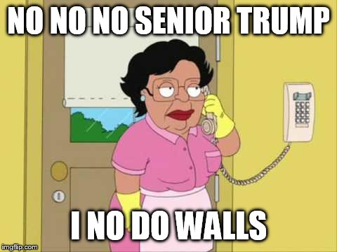 Consuela | NO NO NO SENIOR TRUMP; I NO DO WALLS | image tagged in memes,consuela | made w/ Imgflip meme maker