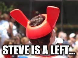 Left Wing Nut - Steve | STEVE IS A LEFT... | image tagged in liberalism,liberals,left wing | made w/ Imgflip meme maker