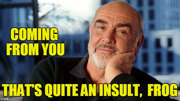 COMING FROM YOU THAT'S QUITE AN INSULT,  FROG | image tagged in sean | made w/ Imgflip meme maker