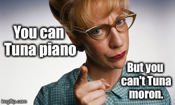 You can Tuna piano But you can't Tuna moron. | made w/ Imgflip meme maker