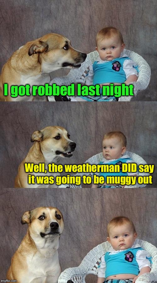 Dad Joke Dog Meme | I got robbed last night; Well, the weatherman DID say it was going to be muggy out | image tagged in memes,dad joke dog | made w/ Imgflip meme maker