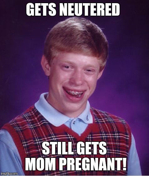 Bad Luck Brian Meme | GETS NEUTERED STILL GETS MOM PREGNANT! | image tagged in memes,bad luck brian | made w/ Imgflip meme maker