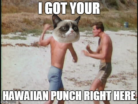 I GOT YOUR HAWAIIAN PUNCH RIGHT HERE | made w/ Imgflip meme maker