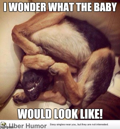 I WONDER WHAT THE BABY WOULD LOOK LIKE! | made w/ Imgflip meme maker