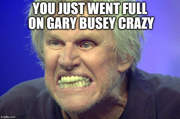Gary Busey Crazy | YOU JUST WENT FULL ON GARY BUSEY CRAZY | image tagged in gary busey,crazy,insane | made w/ Imgflip meme maker
