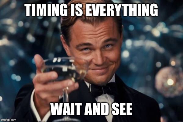 Leonardo Dicaprio Cheers Meme | TIMING IS EVERYTHING WAIT AND SEE | image tagged in memes,leonardo dicaprio cheers | made w/ Imgflip meme maker