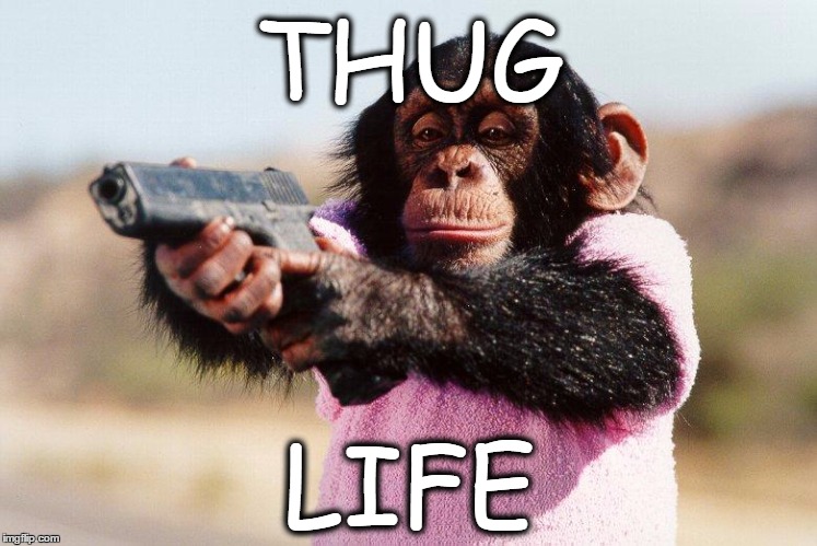 Thug life | THUG; LIFE | image tagged in thug life | made w/ Imgflip meme maker