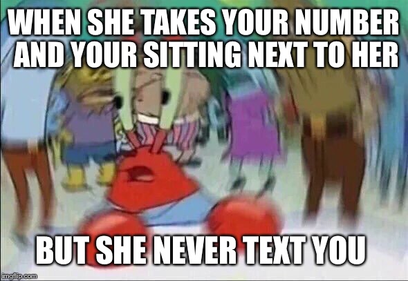 Mr Krabs Blur Meme | WHEN SHE TAKES YOUR NUMBER AND YOUR SITTING NEXT TO HER; BUT SHE NEVER TEXT YOU | image tagged in mr krabs blur meme | made w/ Imgflip meme maker