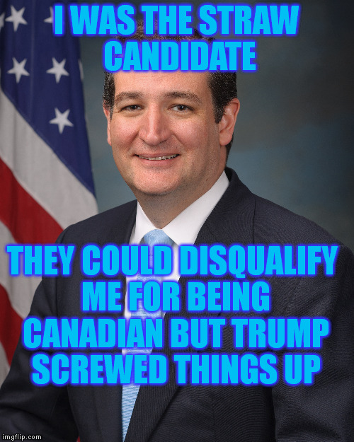 I WAS THE STRAW CANDIDATE THEY COULD DISQUALIFY ME FOR BEING CANADIAN BUT TRUMP SCREWED THINGS UP | made w/ Imgflip meme maker